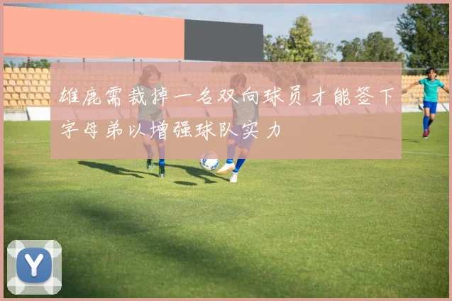 雄鹿需裁掉一名双向球员才能签下字母弟以增强球队实力