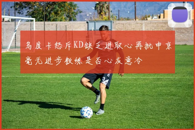 乌度卡怒斥KD缺乏进取心再批申京毫无进步教练是否心灰意冷